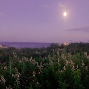 Meet your Posher, Priya